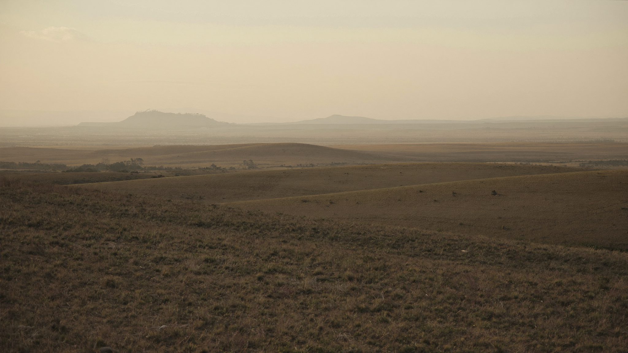 Highveld grassland at dawn near Witbank